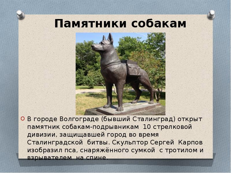 Памятники собакам презентация