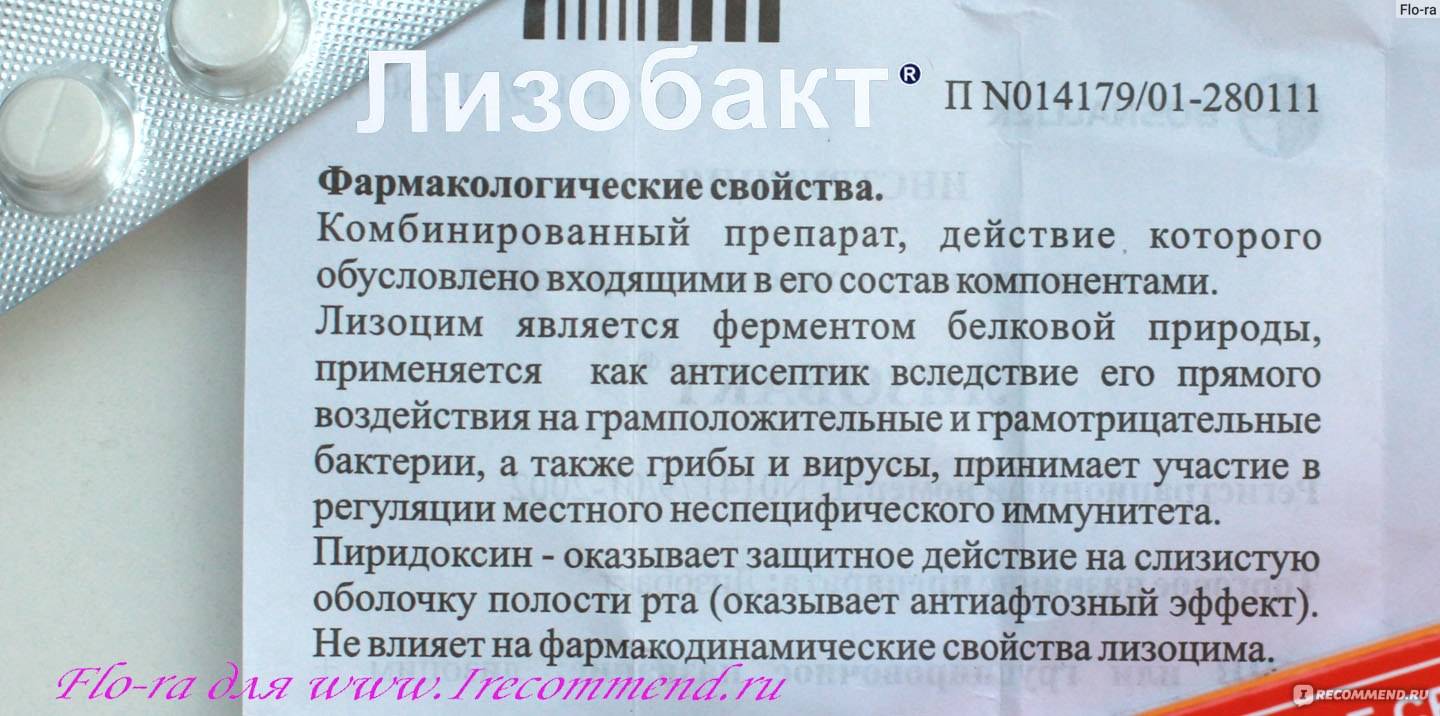 Как выглядит лишай у кошек: лечение симптомы