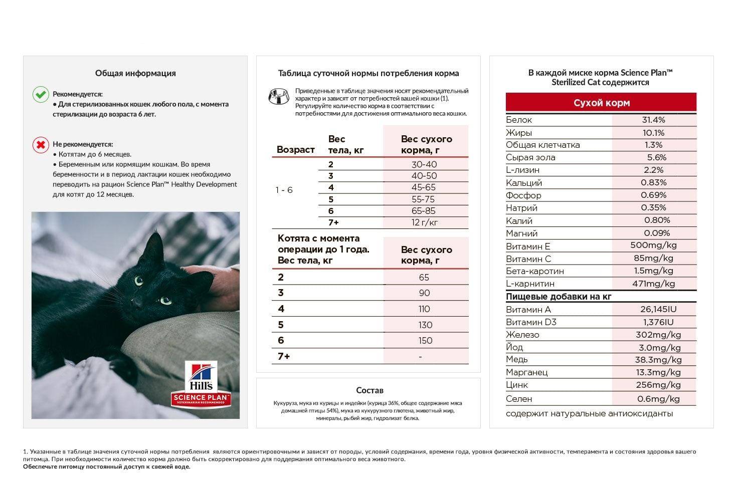 Правила прикорма котят, особенности рациона, оптимальный возраст
