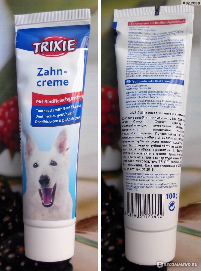 Какой пастой чистить зубы собаке: гель и спрей, другие средства для псов