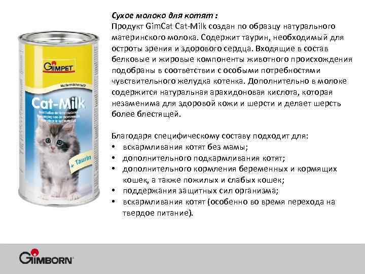 Можно ли кошкам молоко: особенности кормления, можно ли давать сметану, кефир, сухое молоко