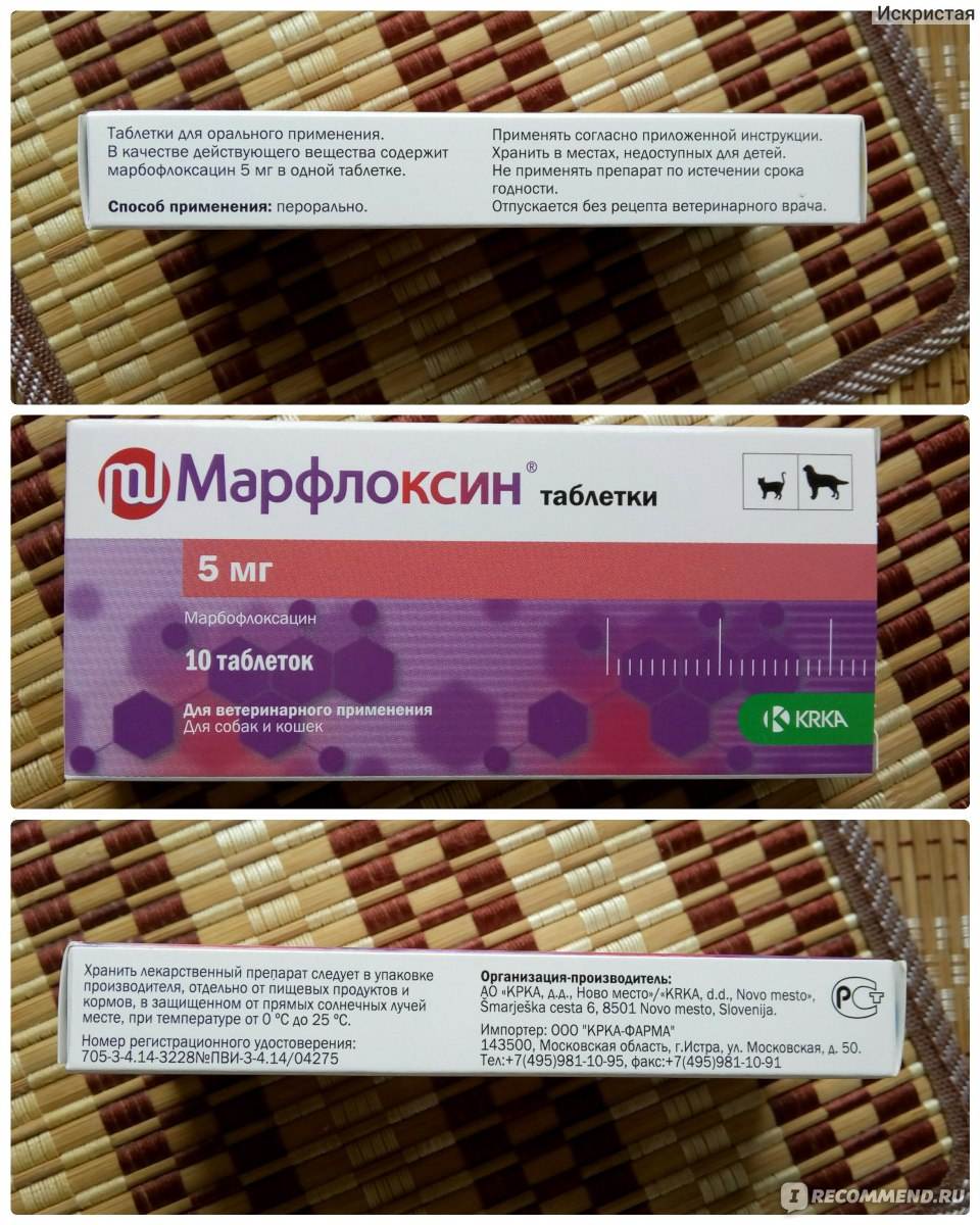 Антибактериальный препарат марфлоксин 10% раствор для инъекций, krka