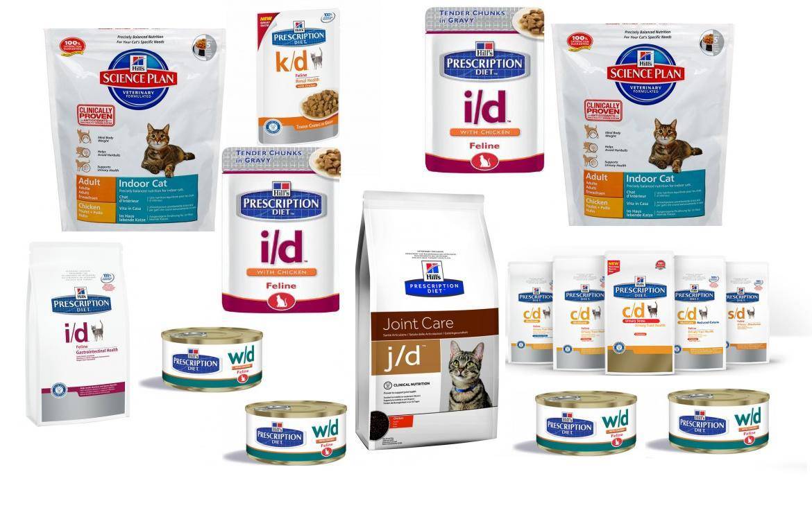 Ассортимент и особенности корма для кошек «хиллс»