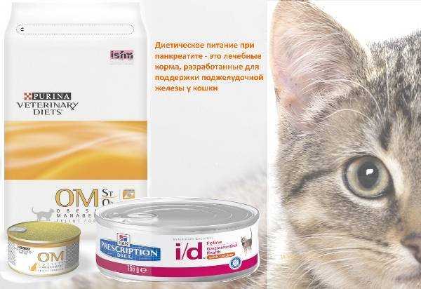 Обзор кормов для кошек с чувствительным пищеварением и заболеваниями жкт