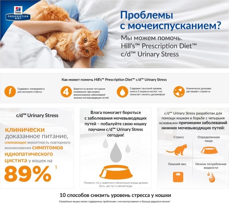 ᐉ недержание мочи у кошек лечение – у кота энурез - zoomanji.ru