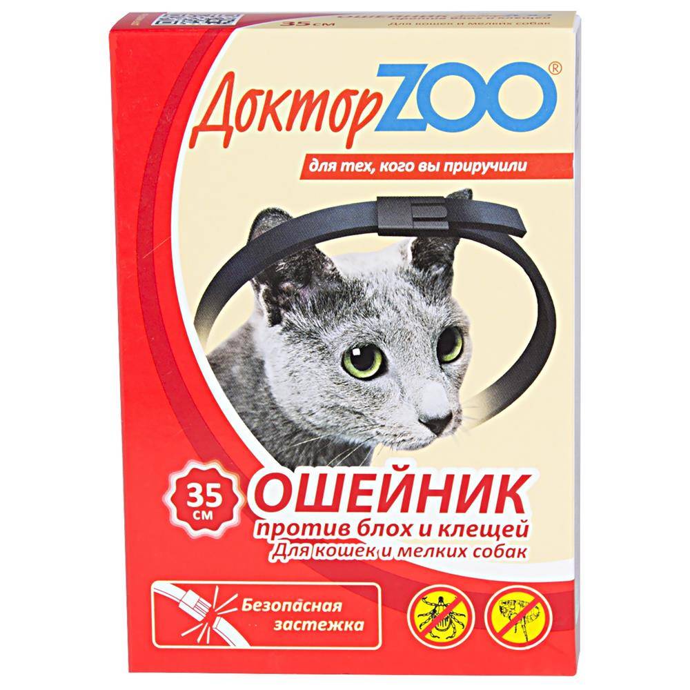 Как действует ошейник от блох для кошек и котят, с какого возраста одевать?