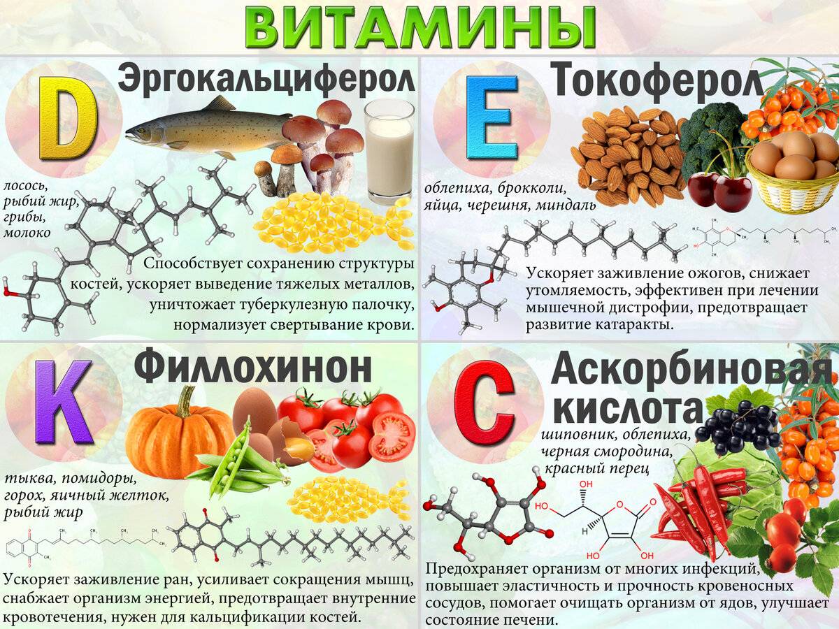 Что едят морские свинки, можно ли давать им лакомства и как правильно выбирать корм.