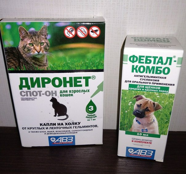«диронет» для кошек