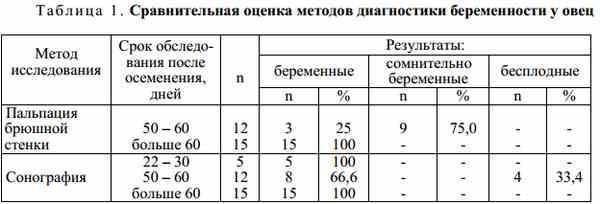 Беременность у кошек: признаки, протекание беременности, уход