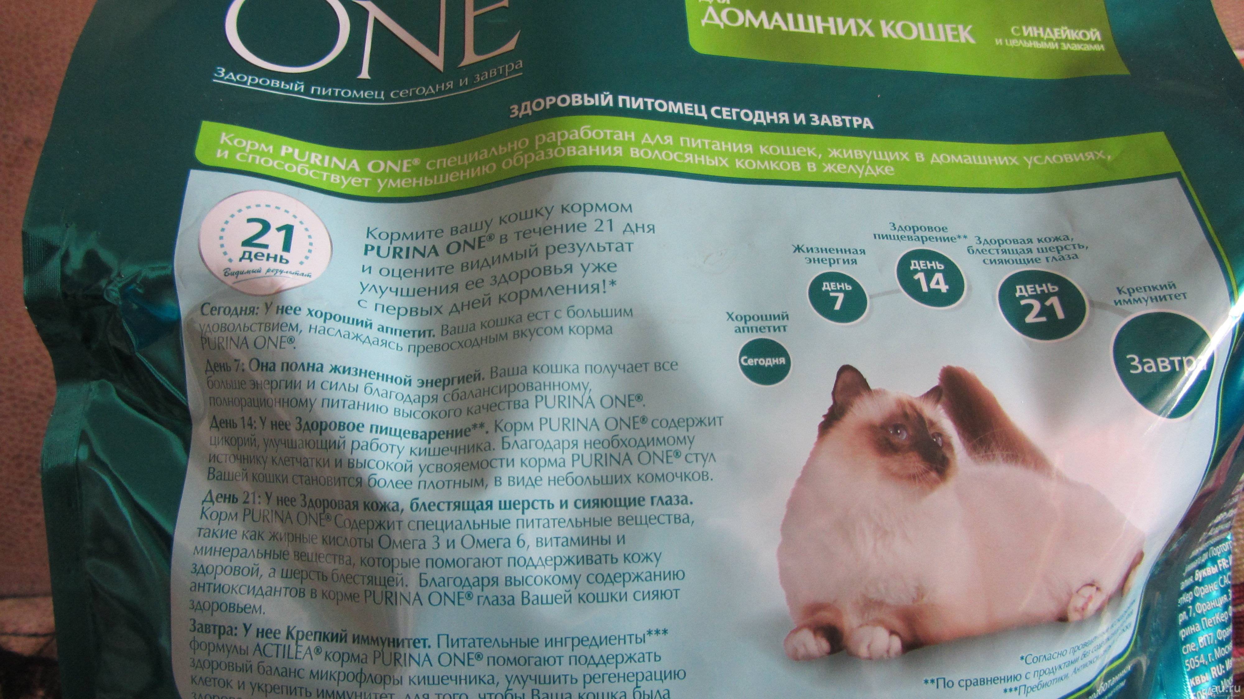 Обзор корма для кошек purina one