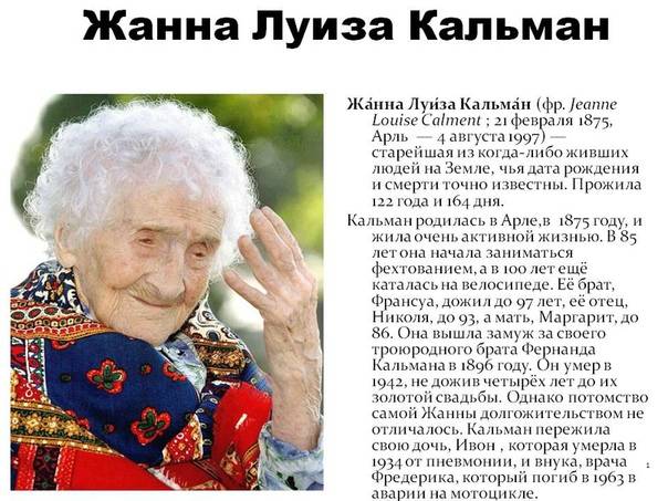 Сколько живут собаки | животный мир