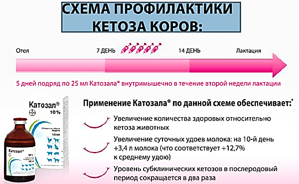 Диагностика кетоза