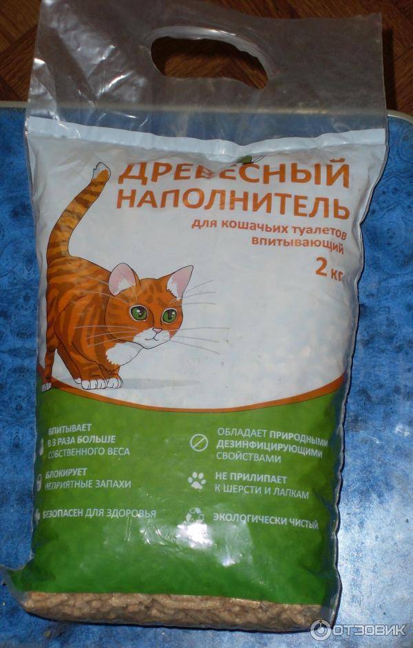 Наполнитель для лотка для кошек: какой выбрать?