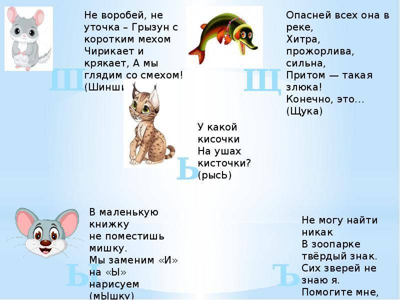 Загадки о природе и животных для 2-3 класса с ответами
