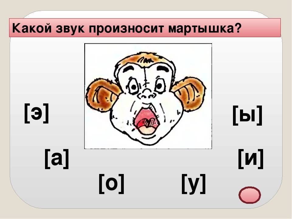 Звуки кролика???? | какие звуки издают кролики?