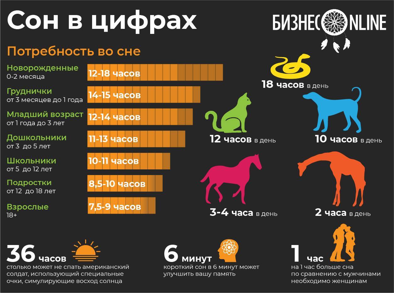 Сколько должна спать собака в сутки?