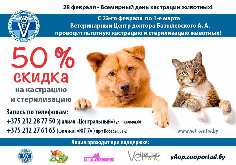 Акция «месяц микрочипирование» проводится в великобритании