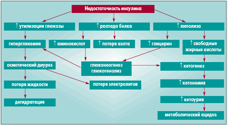 Схема лечения сахарного диабета у кошек