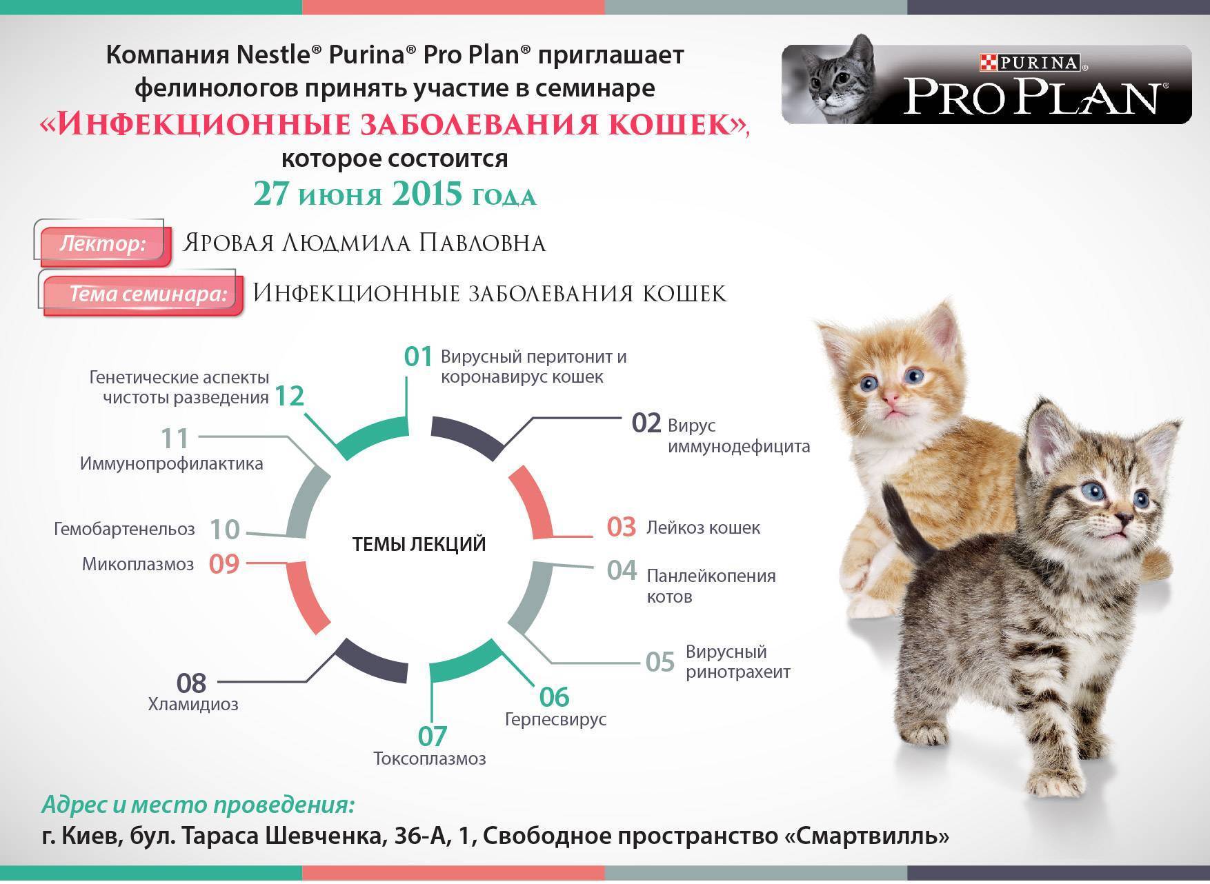 Кожные болезни у кошек: основные признаки и диагностика и лечение +фото и видео