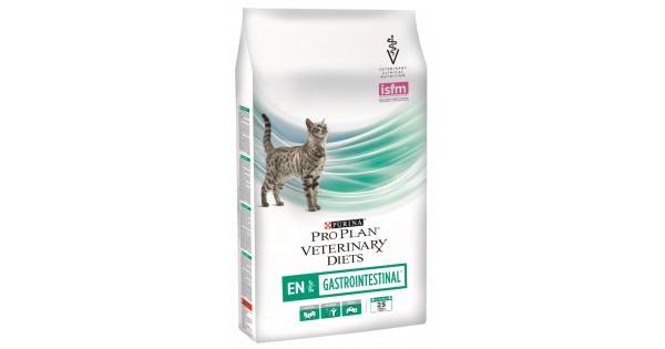 Кормление кошек при аллергии: натуральные продукты и сухие корма