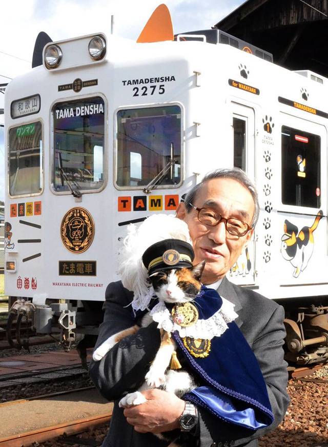 На железнодорожной станции в японии живёт кошка-смотритель — life in japan