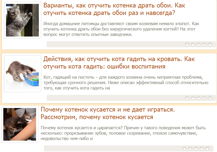 Как отучить кошку кусаться