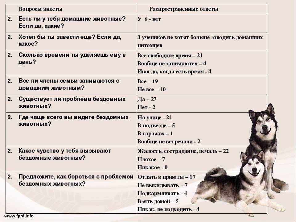Стоит ли заводить собаку в квартире? | блог на vetspravka.ru