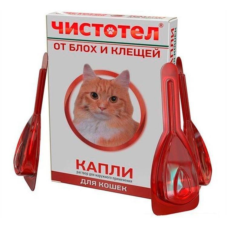 Капли инспектор для кошек: препарат от блох, клещей и гельминтов - все о породах кошек с описанием, фотографиями и названиями.все о породах кошек с описанием, фотографиями и названиями.