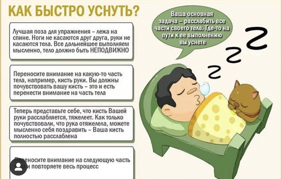 Как спят попугаи и сколько спят