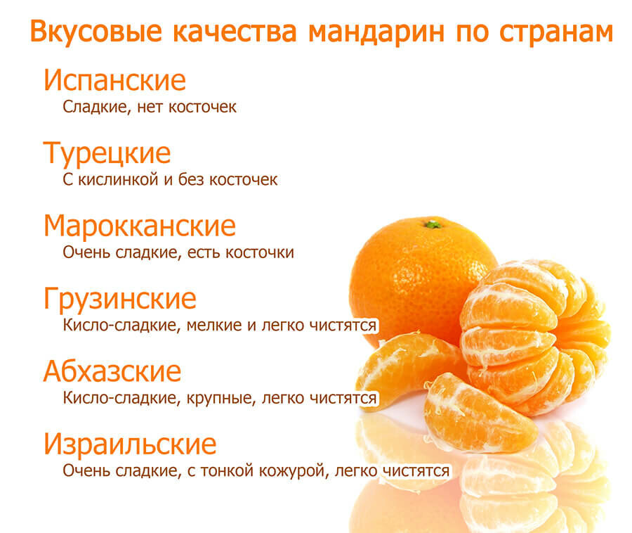 Что едят в домашних условиях хомяки