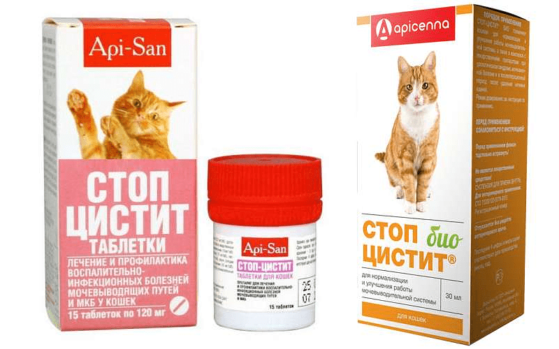 Стоп цистит для кошек и котов: таблетки и суспензия, инструкция по применению, состав, сколько стоит, побочные действия