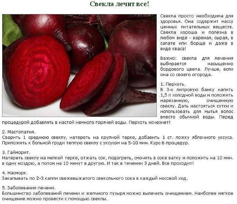 Свекла в корме для кошек