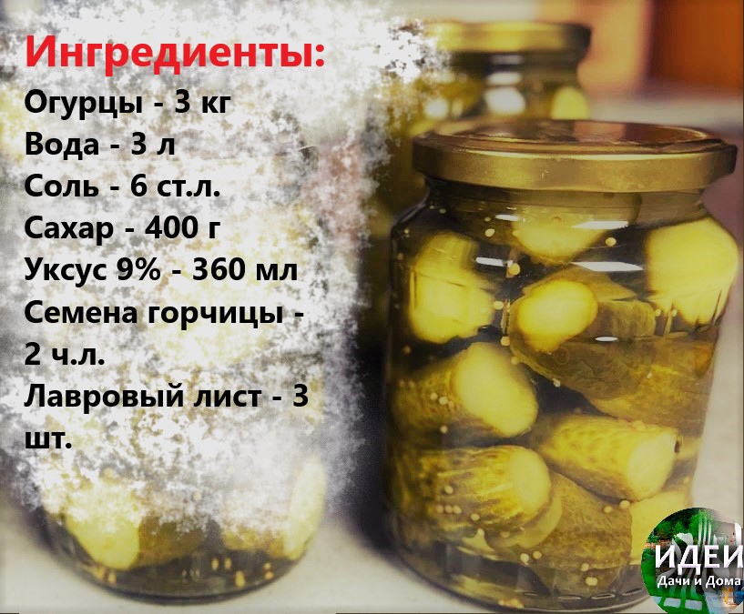 ᐉ можно ли хомякам свежие огурцы, с какого возраста и как часто - zoopalitra-spb.ru