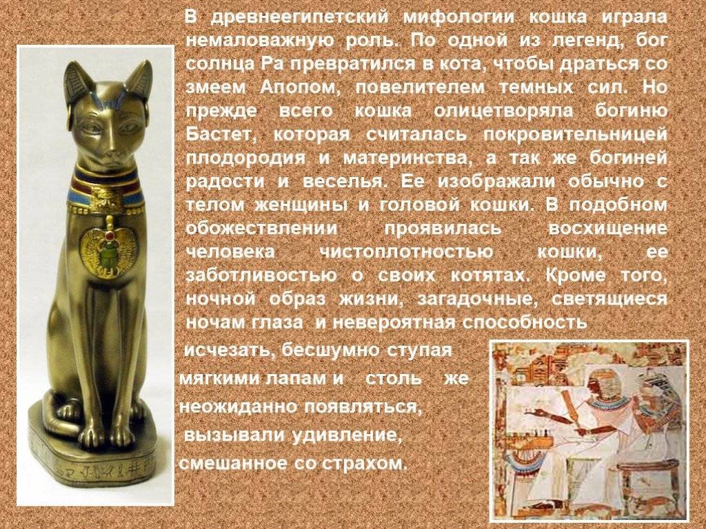 Египетская кошка статуэтка – значение талисмана, богиня бастет