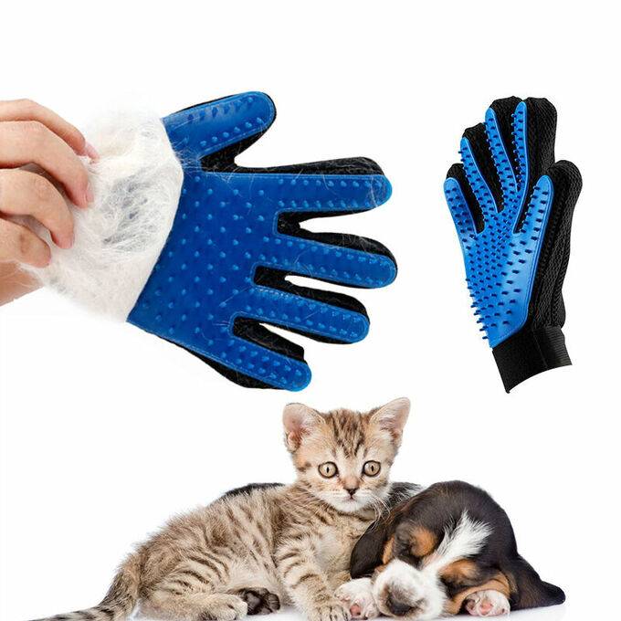 Насколько эффективны перчатки для вычёсывания животных — домашние советы