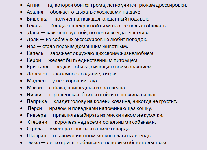 Как прикольно назвать собаку: обзор самых смешных и необычных имен