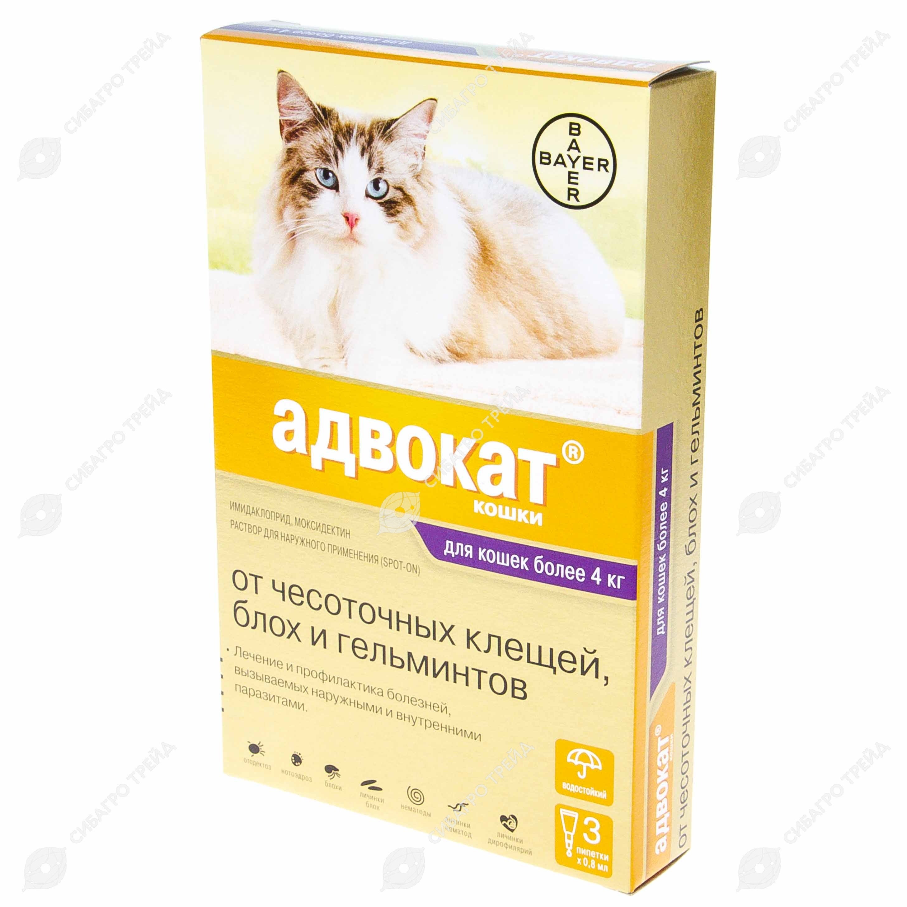 Инструкция по применению препарата «адвокат»: капли на холку от блох, клещей, глистов и других паразитов для кошек