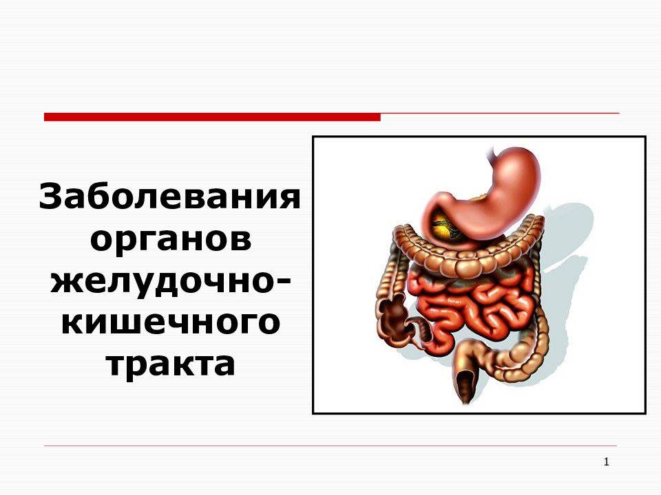 Функциональные нарушения желудочно-кишечного тракта: достижения в понимании и лечении