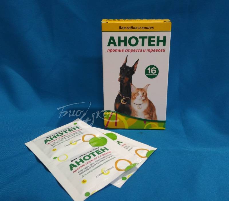 Анотен – успокаивающий препарат для кошек и собак
