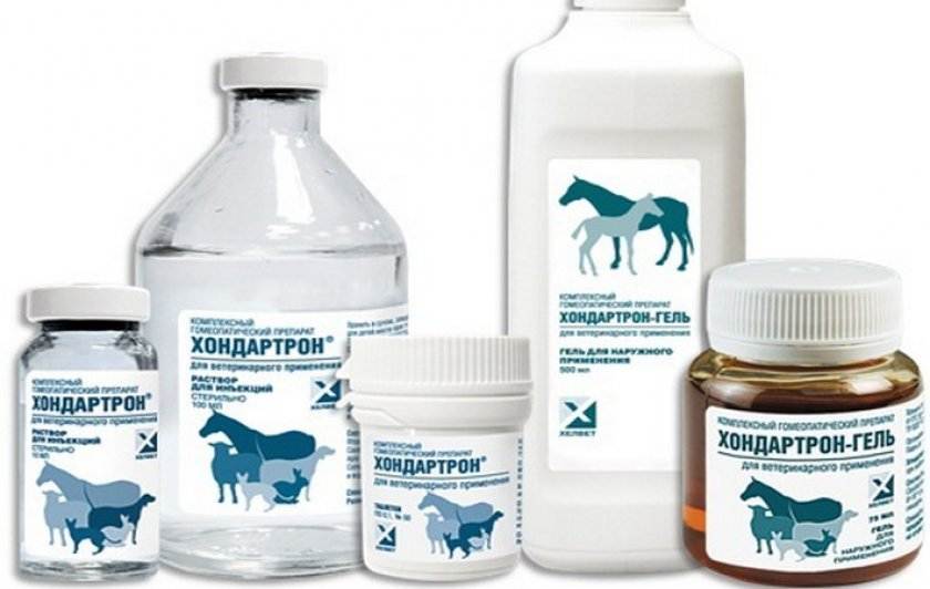 Хондропротекторы для собак разных пород инструкция по применению и отзывы
