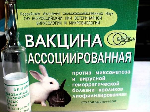 Вакцина для кроликов: привинки, вгбк инструкция, тканевая инактивированная гидроокисьалюминиевая, против геморрагической болезни кроликов