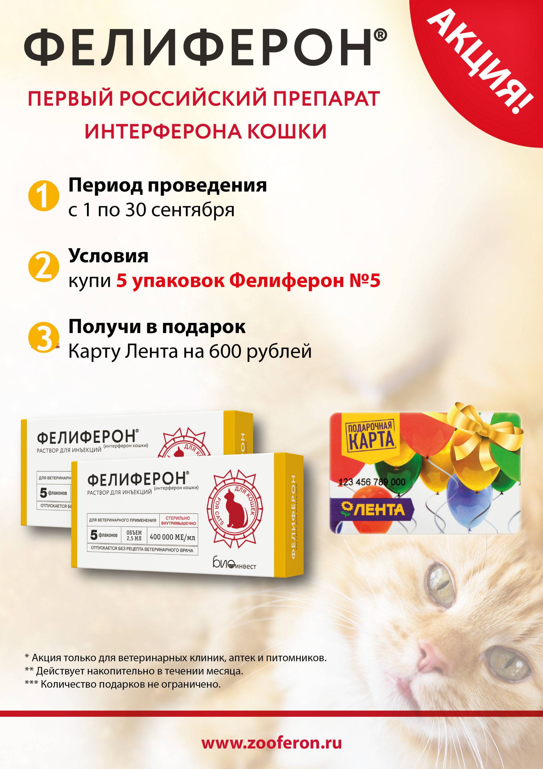 Ветеринарный препарат «фелиферон» для кошек: дозировка, инструкция по применению