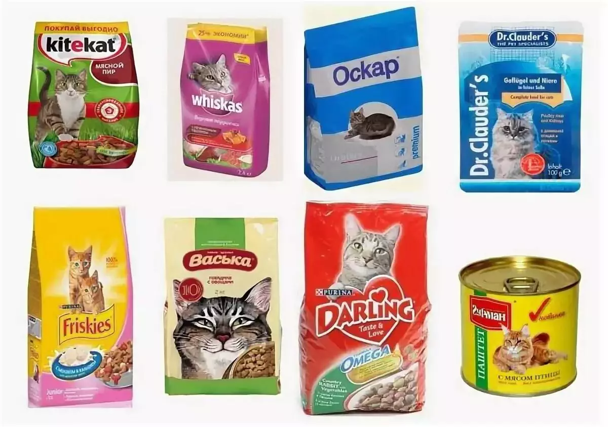 Питание британских кошек в домашних условиях