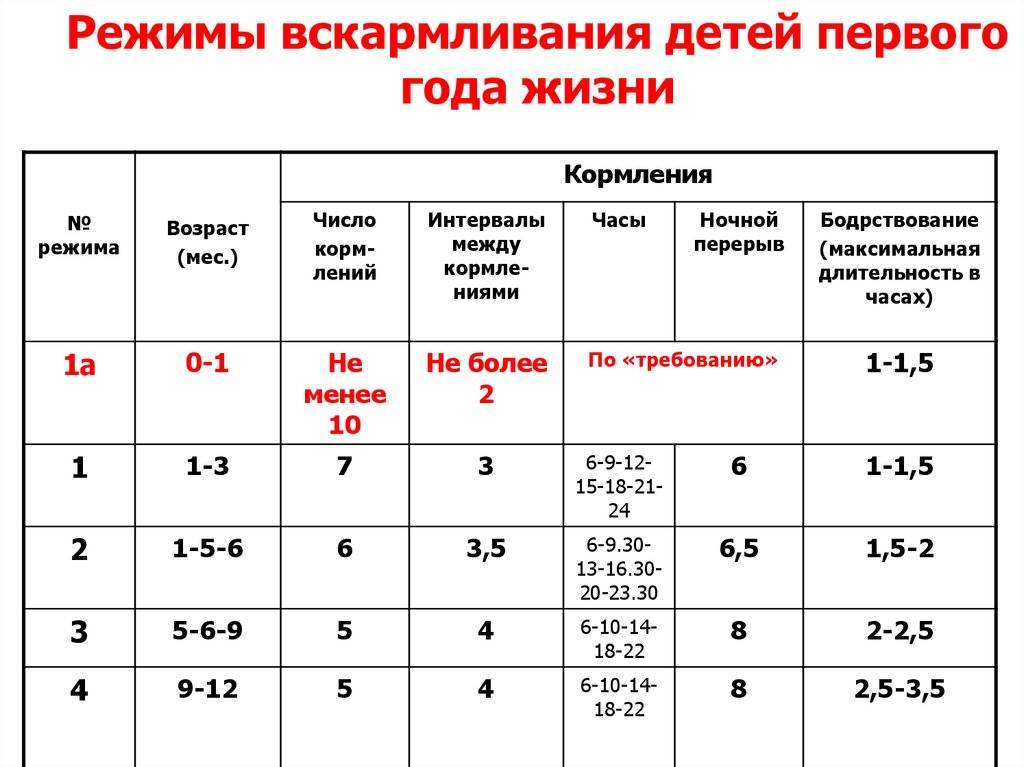 Натуральный корм для собак: меню на неделю, таблица, рацион, норма кормления, рецепты своими руками