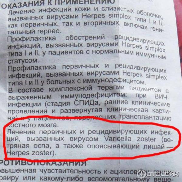 Герпес у котов и кошек: причины, симптомы и лечение вируса