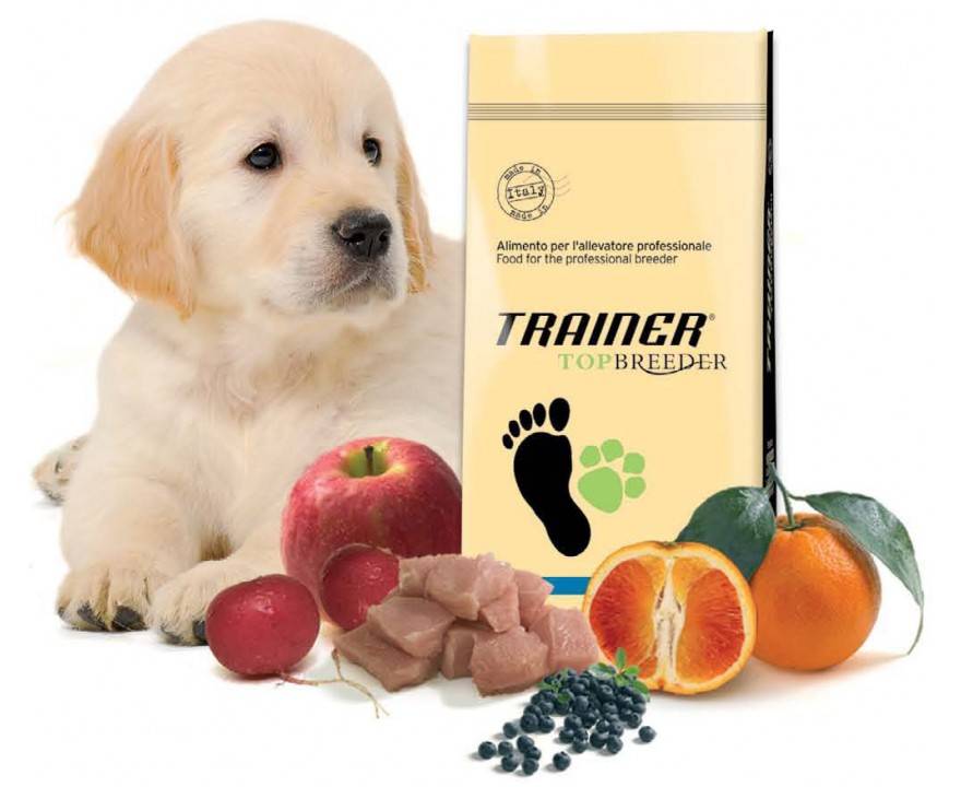 Сухие корма trainer (тренер)