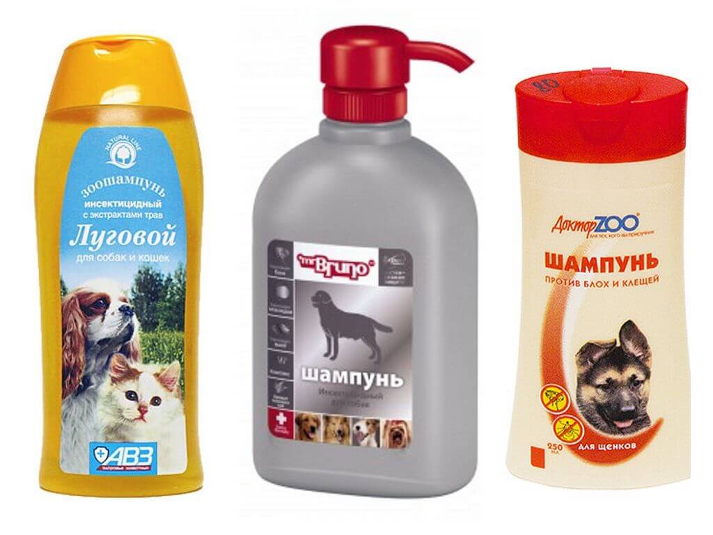 Можно ли мыть собаку человеческим шампунем
можно ли мыть собаку человеческим шампунем