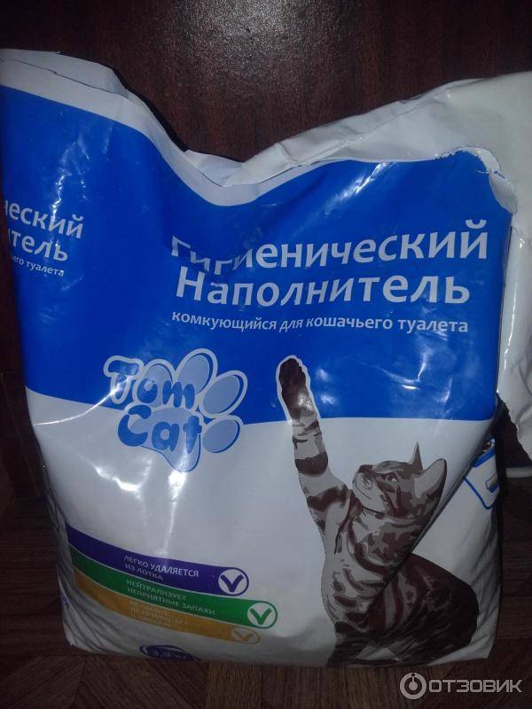 Кот отравился наполнителем для туалета