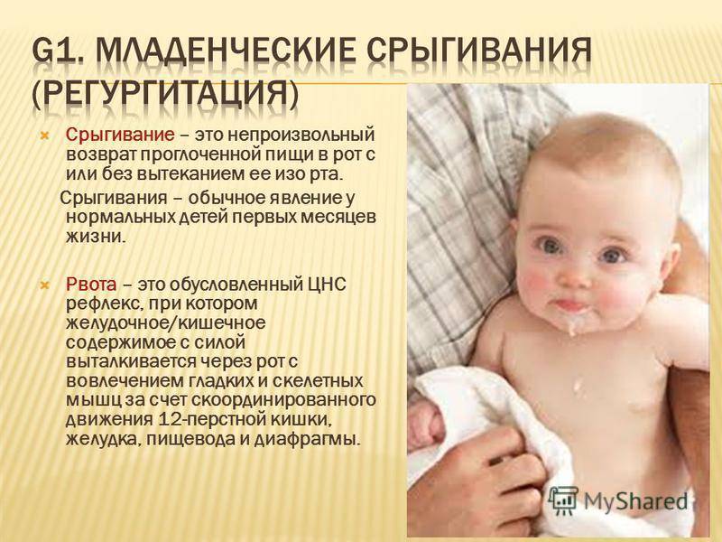 Кошку рвет кормом после еды: 5 причин и лечение в домашних условиях