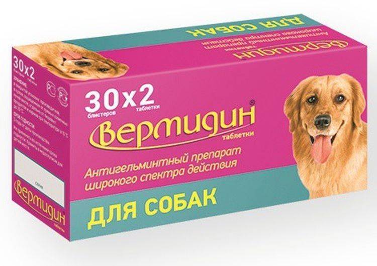 Вермидин для собак: характеристика препарата и способы применения | ваши питомцы